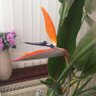 Anne R's profile picture