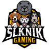 Profilbild von sLkNiK_Gaming