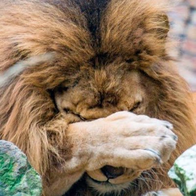 CrespoVerania's profile picture