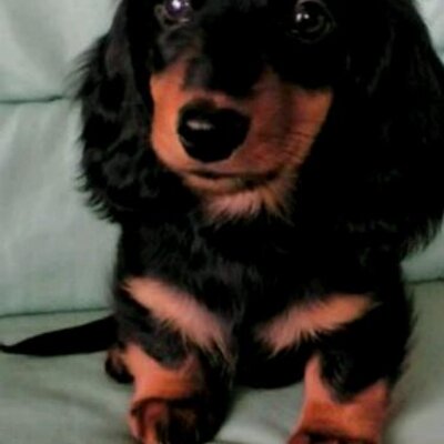 ちゃーりー's profile picture