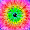 EssKayInVa's profile picture