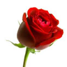Patti's profile picture