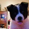 Profilbild von J