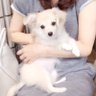Profilbild von mimi♡