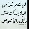 Walied's profile picture