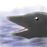 冷やしたぬきそば大盛's profile picture