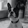ScottC23's profile picture