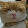 Profilbild von ゆりゆり