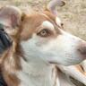 Profilbild von Antonio