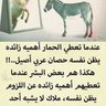 Profilbild von غيوم الصيف
