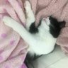 Фото профиля 還暦Mosherしょうakaまた転倒ジジイ