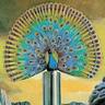 Фото профиля Peacock