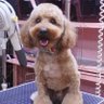 Profilbild von coco