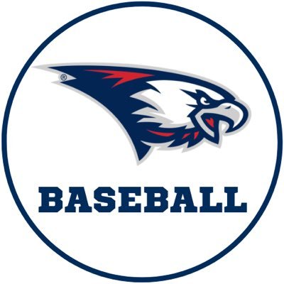 USIBaseball's profile picture