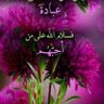 القاضي profil fotoğrafı