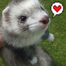 ささみ's profile picture