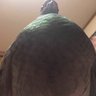 באבא דאווין profil fotoğrafı