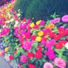 ひとなみ's profile picture