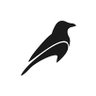 Фото профиля Ravenduck