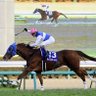 ダイワスカーレット🏇 的头像