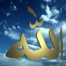 mohamed mahrous's profile picture