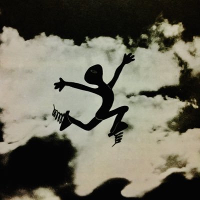 虹のタコス's profile picture