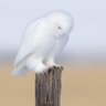 Kirsti Bird's profile picture