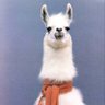 Aldo's profile picture