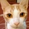 Profilbild von betAvilaSuar