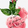 lyly kamal's profile picture