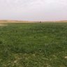 Фото профиля أبو تركي