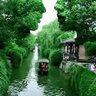 Asela B 的头像