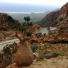 محمود المظفر 的头像
