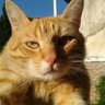 Profilbild von Micha