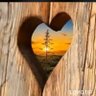 مطمئنه بالله's profile picture