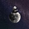 🪢 FK 的头像