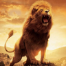 León's profile picture