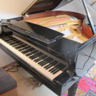 germanpianist🇩🇪🇮🇱's profile picture