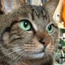 oomugi profil fotoğrafı