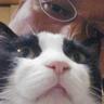マッキー's profile picture
