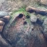 その辺の、カラス 的头像
