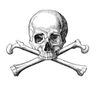 Tempus Fugit's profile picture