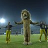 Manish Silva's profile picture