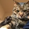 けんけんぱ profil fotoğrafı