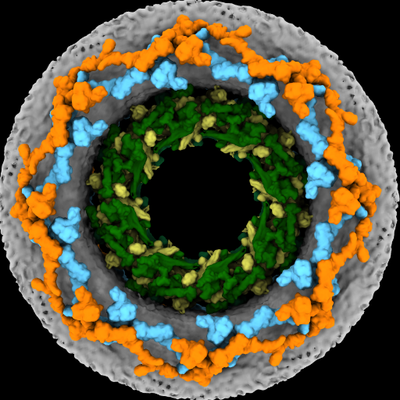 Beck_Laboratory's profile picture