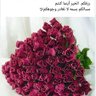 Фото профиля Dr.Leila Mohamed/د.ليلى محمد