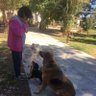 Melva Victorina 🔻 profil fotoğrafı