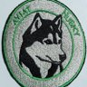 Husky pilot 的头像