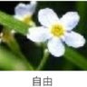 麻雀 的头像