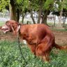 allegro non troppo profil fotoğrafı